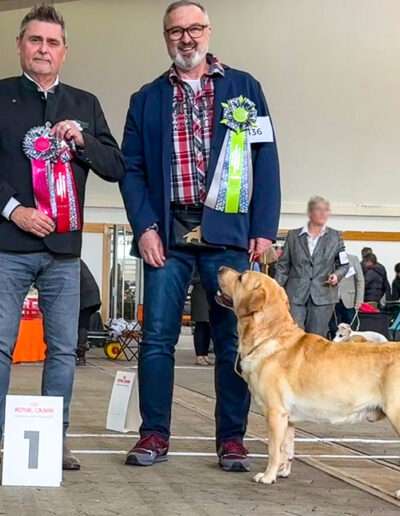 Neuigkeiten 2025 - 29. Int. Rassehunde-Ausstellung Kassel